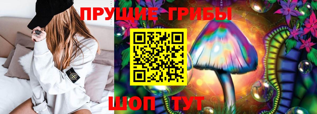 Жуковский  Псилоцибиновые грибы прущие грибы  Вход с VPN  Псилоцибиновые грибы Psilocybine cubensis 